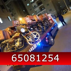 ونش مبارك الكبير